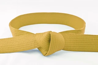 Lean Six Sigma yellow belt training certification